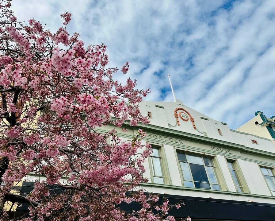 Palmy BID